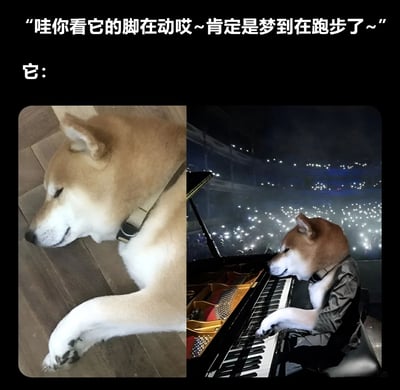 图片上方配有文字'哇你看它的脚在动哎~肯定是梦到在跑步了~'，下方分为左右两图。左图是一只柴犬趴在木地板上熟睡，前爪微微抬起，似乎在动弹；右图则是经过P图处理的画面——同一只柴犬穿着黑色外套，坐在璀璨灯光下的钢琴前，神情专注地弹奏，背景是坐满观众的大型音乐厅，台下闪烁着无数手机灯光，形成强烈的幽默反差。通过左右对比，调侃人们对宠物做梦内容的常规想象与“真实梦境”的戏剧性差异。