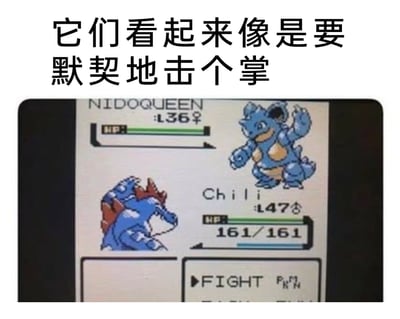 这是一张宝可梦系列早期掌机游戏的对战界面截图，画面上方配有中文文字“它们看起来像是要默契地击个掌”。截图内显示对战双方的宝可梦：上方是等级36的雌性尼多后，它抬起一只前肢，姿态仿佛准备击掌；下方是名为Chili、等级47的雄性大力鳄，它的前肢和嘴巴的姿势，恰好和尼多后形成了即将击掌的错位效果。而实际上这是紧张的宝可梦对战准备界面，底部显示有“FIGHT（战斗）”等操作选项，这种姿势错位制造出与对战氛围完全反差的搞笑感，让原本严肃的对战场景变得十分诙谐有趣。