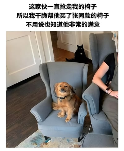 图片展示了一个有趣的家居场景：一只棕色的狗正得意地坐在一张灰色的扶手椅上，表情看起来十分满足。在它旁边，有一个人坐在另一张完全相同的灰色扶手椅上。背景中，一只黑猫正悠闲地躺在地板上，靠近门口的位置。图片上方配有文字说明：'这家伙一直抢走我的椅子 所以我干脆帮他买了张同款的椅子 不用说也知道他非常的满意'，幽默地讲述了主人为了防止狗狗抢椅子，干脆买了两张一模一样的椅子的故事。