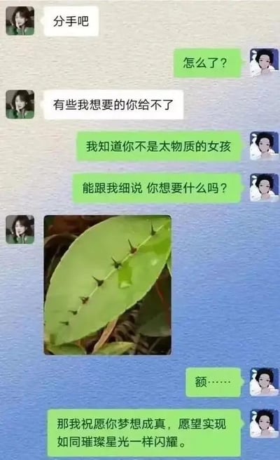 这是一段趣味情侣聊天记录截图，对话流程如下：女方先发消息提出分手，男方疑惑询问原因，女方表示“有些我想要的你给不了”，男方表示知晓女方并非物质之人并追问需求，随后女方发送了一张带有尖刺的叶子图片，这里运用了谐音梗——叶子上的“针（尖刺）”谐音“真”，暗指自己想要的是“真心”。男方领会意思后，只能送上祝福。
核心笑点为谐音梗，用“针”谐音“真”，隐晦表达想要“真心”的诉求。