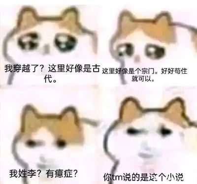 这是一张由四格组成的图文混排类表情包，使用了mur猫（悲伤猫）的卡通形象，通过递进的对话和猫咪表情的变化，吐槽当下穿越网文千篇一律的套路。第一格中猫咪露出疑惑的表情，配文模拟穿越者的初始疑惑；第二格猫咪眼神谨慎，配文表现穿越者想要低调生存的心态；第三格猫咪露出不解神情，配文点出网文中常见的主角设定；第四格猫咪表情愤怒无语，配文揭露真相——所谓的穿越其实是对应某部网文的剧情，用这种反差感制造出搞笑的吐槽效果，精准戳中了读者对同质化穿越网文的共鸣。