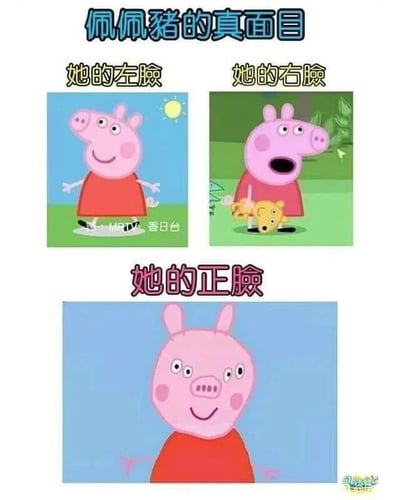 暂无描述