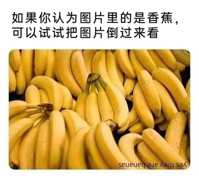这是一张趣味视觉错觉静态图，正视图中展示了多串形态自然的黄色香蕉，画面上方配有中文提示文字“如果你认为图片里的是香蕉，可以试试把图片倒过来看”，图片底部还有一行倒写的英文文字“yes they are bananas”。当将图片倒置后，原本的香蕉轮廓会转化为一张张朝向各异的人脸，利用香蕉的弯曲形态与人脸的轮廓、五官位置的高度相似性，打造出极具趣味性的视觉反转效果，让观看者体验到同一画面下的两种完全不同的视觉认知。
