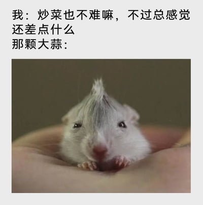 这是一张图文混排的搞笑生活梗图，上方文字分为两部分，第一部分是“我”的内心感慨：“炒菜也不难嘛，不过总感觉还差点什么”，第二部分引出“那颗大蒜”；下方配图是一只头顶长着一撮类似大蒜顶部须子的白色小老鼠，它被捧在人类的手心里，眼神委屈巴巴，前爪搭在手心边缘，神情可怜。这张图用拟人的手法玩梗，将被遗忘在一旁的大蒜拟人成这只委屈的小老鼠，调侃生活中炒菜时常忘记放大蒜的小疏忽，通过可爱的动物形象和文字的结合，制造出轻松搞笑的反差感，让人会心一笑。