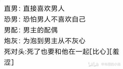 这张纯文字图对“直男”“恐男”“男配”“炮灰”“死对头”这些原本有固定语义的词汇进行了趣味化的反向重构，将所有词汇都绑定到男男向的语境中，制造出强烈的反差笑点：
1. 直男：颠覆原本“性取向为女性的男性”的含义，被解释为“直接喜欢男人”；
2. 恐男：偏离原本“恐惧、排斥男性”的定义，被解读为“恐怕男人不喜欢自己”；
3. 男配：打破“影视文学中男主的配角”的设定，定义为“男主的配偶”；
4. 炮灰：脱离“无足轻重被牺牲的角色”的原意，被描述为“为泡到男主从不灰心”；
5. 死对头：完全反转“仇人、对手”的语义，搭配[比心][羞涩]的表情，解释为“死了也要和他在一起”。
整体通过错位的词汇定义，营造出诙谐的男男向玩梗氛围。