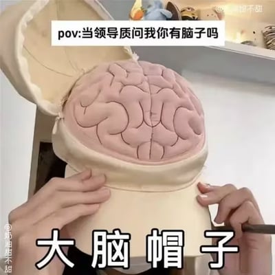 图片展示了一个人双手扶着一顶造型独特的“大脑帽子”，帽子顶部呈打开状态，内部是仿真的大脑纹理结构。图片上方配有文字“pov:当领导质问我你有脑子吗”，底部标注“大脑帽子”，通过夸张的视觉道具和第一人称视角（POV）的文字设定，幽默演绎了面对领导质疑时的搞笑回应——用“物理展示大脑”的方式化解尴尬，生动体现了职场中被质疑智商时的自嘲与无奈，充满反差萌和喜剧效果。