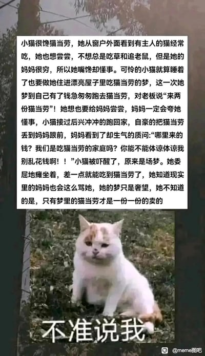 这是一张竖屏手机格式的图文混排梗图，上方是一段以拟人化小猫为主角的扎心小故事：家境贫寒的小猫渴望吃到“猫当劳”（谐音现实中的麦当劳），在梦里实现了给妈妈带猫当劳的愿望，却被妈妈责骂乱花钱，醒来后发现现实里的愿望也只是奢望，最后点明只有梦里的猫当劳是按份售卖的，戳中了贫穷带来的愿望遥不可及的窘迫；下方是一只表情委屈、瘫坐在地上的猫咪，配文“不准说我”，完美呼应了故事中小猫的委屈情绪，整体用童话的柔软外壳包裹着现实的无奈，容易引发读者的共鸣。