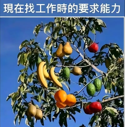 图片上方有白色文字'现在找工作时的要求能力'，下方是一棵枝叶茂盛的树，树枝上同时结满了香蕉、梨子、苹果、橙子、绿色果实等多种不同种类的水果，背景为晴朗的蓝天。通过一棵树上长多种水果的不合理现象，讽刺当前求职市场中 employers 对求职者要求过多、技能过于繁杂的现象，表达了求职者面对过高要求时的无奈。