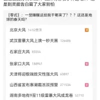 这是一段模拟群聊的聊天记录截图，开头以一句调侃的话“是到黑悟空白嫖了大家别怕”引出，随后各地网友用夸张戏谑的表述来形容当地的大风天气，比如“北京大风”“武汉霹雳大风一流沙天黑”“天津特级超级毁灭性强风”等，每个城市的描述后还附带一串数字，整体用幽默夸张的方式放大各地强风的威力，以此来吐槽恶劣的大风天气，容易引发经历过强风天气的网友的共鸣，风格接地气又搞笑。