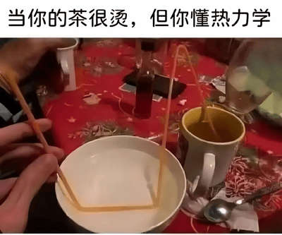 图片展示了一个创意生活小技巧：当茶太烫时，有人用一根塑料管将热茶从杯子引流到装满冷水的碗中，再流回杯子，形成一个简易的热交换系统来快速冷却茶水。图片上方配有文字"当你的茶很烫，但你懂热力学"，用幽默的方式展示了科学知识在日常生活中的有趣应用。