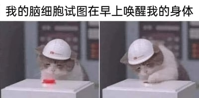 这是一张左右拼接的连环表情包，上方配有文字“我的脑细胞试图在早上唤醒我的身体”。左侧图中，一只戴着白色安全帽的猫咪眼神困倦，正抬起爪子试图按下面前的红色按钮；右侧图里，这只猫咪按下按钮后，直接瘫在按钮所在的台面上，眼神更加疲惫，动作无力。这组图用拟人化的方式，将大脑想唤醒身体但身体却极度困倦的状态具象化，精准吐槽了人们早上起床时，大脑有清醒的意愿，可身体却被疲惫支配、不想动弹的真实日常，非常贴合多数人起床困难的体验，引发共鸣。