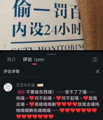 该图为上下拼接的趣味梗图，上半部分是商家张贴的防盗告示局部，印有蓝色大字“偷一罚百 内设24小时”，下方还有英文“CCTV MONITORING”，是用于警示偷窃行为的严肃提示；下半部分是视频平台的评论区截图，显示一条被置顶的用户评论，发布者昵称为“芝芝布芝道”，内容全程以“喵”为语气后缀，搭配大量红色爱心表情，用撒娇卖萌的语气道歉求饶，仿佛是偷窃被抓后恳求放过，和上方严肃的防盗告示形成强烈的反差感，整体效果诙谐搞笑。