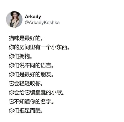 这是一张社交媒体截图，内容为用户Arkady发布的一段关于人与猫咪之间深厚友谊的文字。文字以简洁而温暖的笔触，描绘了与猫咪相处的日常：拥抱、抵足而眠、即使语言不通也成为最好朋友的温馨场景，传递出猫咪是生活中美好陪伴的情感，整体风格治愈且充满爱意。