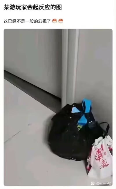 图片展示了一个室内角落场景，地面上放着一个黑色带蓝色蝴蝶结的包包，旁边还有一个印有“潮装”字样的白色包装袋。图片上方配有文字“某游玩家会起反应的图”和“这已经不是一般的幻视了😅😅”，暗示该场景可能让特定游戏玩家产生视觉错觉，将包包误认为游戏中的某个元素，带有调侃游戏玩家过度沉浸的幽默意味。