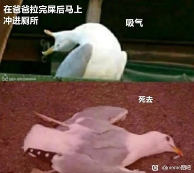 这是一张上下分栏的搞笑meme图，通过海鸥的状态变化夸张吐槽生活里的尴尬场景：上图是一只海鸥张大嘴巴用力吸气，配文“在爸爸拉完屎后马上冲进厕所”“吸气”，表现出人物冲进厕所后吸入气味的瞬间；下图是同一只海鸥躺倒在地，配文“死去”，用极度夸张的方式表现厕所内气味的刺鼻程度，仿佛让人“窒息去世”，用动物的状态具象化了糟糕气味带来的冲击感，充满搞笑和自嘲的氛围。