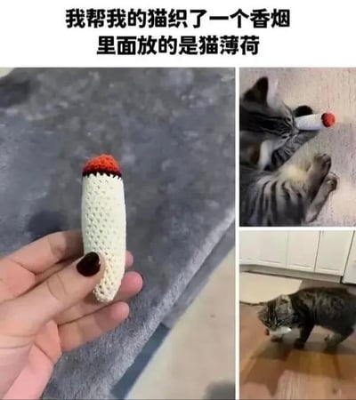 一张多图拼接的趣味图片，上方配有文字“我帮我的猫织了一个香烟 里面放的是猫薄荷”。左侧大图展示一只涂黑色指甲油的手握着一个白色钩针编织的“香烟”玩具，顶端为红色；右上角小图中，一只虎斑猫趴在地上，用鼻子凑近“香烟”玩具嗅闻；右下角小图里，同一只虎斑猫在地板上叼着“香烟”玩具玩耍。整体画面温馨又搞笑，将猫薄荷玩具设计成香烟造型，既满足了猫咪对猫薄荷的喜爱，又充满创意和趣味性。