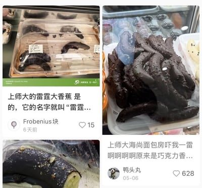 整张图是四张内容拼接的社交媒体分享合集，分为左右两列：左上是摆放在展示柜里的透明盒装“雷霆大香蕉”，可以看到对应的产品价签；右上是堆叠摆放的多根成品，裹着深色巧克力酱的外皮上带有颗粒，外形与海参高度相似，非常容易让观察者产生误判；左下是该产品的特写，咬开后能看到巧克力外壳下的浅黄色香蕉果肉，证实其巧克力香蕉的本质；右下是另一网友的分享文案，吐槽刚看到这款产品时被吓到，了解后才知道是巧克力香蕉。两条网友的分享都对这款名字和外形都极具冲击力的校园食品进行了调侃，趣味性很强。