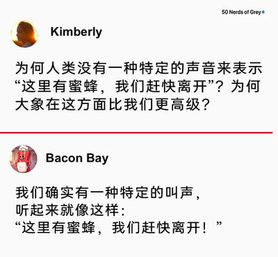 这是一张社交媒体平台的截图，展示了两位用户的趣味互动。用户Kimberly提出疑问，认为人类没有像大象那样专门用来预警“有蜜蜂需要离开”的特定叫声，觉得大象在这方面更高级；用户Bacon Bay则用一种幽默的方式回应，打破了对“特定叫声”的狭义理解，指出人类的特定叫声就是直接说出预警的话语，用玩梗的方式制造出搞笑的效果，让原本的疑问变成了一个趣味段子。