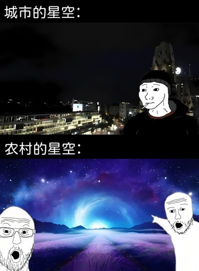 图片分为上下两部分进行对比。上半部分标题为“城市的星空：”，背景是城市夜晚景象，建筑物灯火通明，天空漆黑几乎看不到星星，右侧有一个叼着烟、表情麻木的抽象人脸表情包角色。下半部分标题为“农村的星空：”，背景是绚烂的星空，有紫色和蓝色的星云，地面是紫色花海，左侧和右侧各有一个表情震惊、张嘴的抽象人脸表情包角色，右侧角色还伸出手指向星空。通过强烈的视觉对比，幽默地展现了城市光污染导致星空黯淡与农村星空璀璨的差异。