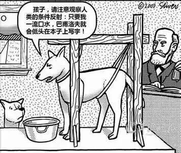 这是一幅采用剧场式构图的黑白卡通单幅漫画，以幽默反转的方式调侃巴甫洛夫的经典条件反射实验。画面中，一只大狗被绳索固定在木制架子上，它上方的对白气泡里的文字将实验主客体反转，称自己流口水会让巴甫洛夫产生写字的条件反射；一旁的小狗正好奇地注视着大狗和坐在桌前的巴甫洛夫，巴甫洛夫则专注地低头在本子上记录，还原了他进行实验的经典姿态，通过这种反讽的设定，把严肃的科学实验变成了搞笑的人类条件反射观察，制造出荒诞的幽默效果。
