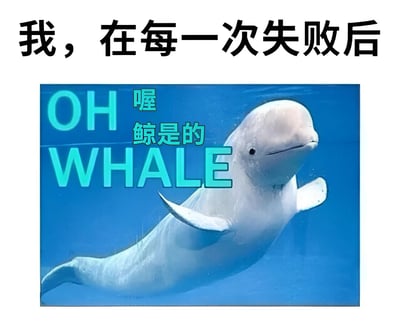 图片上方有黑色大字标题'我，在每一次失败后'，下方是一张白鲸在蓝色水中游动的照片。照片上叠加了青色文字'OH 喔 鲸是的 WHALE'，利用'WHALE'（鲸鱼）与英文'well'（好吧）的谐音，以及'鲸是的'与中文'是的'的谐音，形成双关语，表达在失败后无奈又自我安慰的幽默态度。