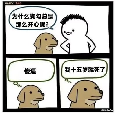 这是一幅三格连环卡通漫画，采用剧场式构图，属于带对白气泡的静态卡通图像。第一格中，一名卡通人类双手叉腰、面带疑惑地向一只面带微笑的卡通狗狗提问，询问狗狗总是开心的原因；第二格中，狗狗的对话气泡里只出现“傻逼”二字，制造出突兀感；第三格中狗狗揭晓答案“我十五岁就死了”，用黑色幽默的反转剧情，点出狗狗看似开心的背后是它早已离世，无需再被生活的烦恼困扰，这种反差感带来了扎心又搞笑的效果，引发读者对生活压力的共鸣。