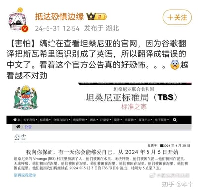 这是一张来自微博的社交媒体截图，用户“抵达恐惧边缘”于2024年5月31日发布该内容，分享了自己使用谷歌翻译查看坦桑尼亚标准局（TBS）官网时遭遇的乌龙事件：谷歌翻译将官网的斯瓦希里语错误识别为英语，导致原本的官方公告被翻译成了逻辑混乱、充满诡异恐怖表述的中文内容，其中包含大量重复的“被困在泥里、无法呼吸”这类令人不安的语句，还夹杂着“我向你保证，有一天你会能够爱自己”“别再说我爱你”这类与官方公告完全不符的奇怪话语，让用户感到恐怖又不对劲。截图中同时展示了坦桑尼亚标准局官网的公告页面，清晰呈现了错误翻译后的内容，右下角还有知乎用户@本十的水印，说明该内容也在知乎平台传播。