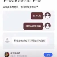 这是一段竖屏手机格式的聊天记录截图，用户开篇用网络热词“上一次这么无语还是在上一次”吐槽自己的遭遇，表示本来想多说几句，结果被客服整得说不出话。随后用户说明自己充值128元但金额一直未到账，客服却给出了“那您看的话也可以再进行充值的”这种离谱回复，用户在输入框中准备发送“第三遍跟你说”，可见已经多次沟通无效，整个对话充满了荒诞感，凸显出客服的不专业，让用户十分无奈。
其中“上一次这么无语还是在上一次”是套娃式的网络热词，通过重复的句式强化无语的情绪。
