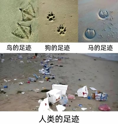 这是一张采用上下对比形式的多图拼接梗图，上方依次展示了三种动物在沙地上的自然足迹：鸟的爪印、狗的掌印、马的蹄印，并分别标注对应名称；下方则是实拍的布满各类垃圾的海滩，包括塑料瓶、泡沫箱、食品包装等，被标注为“人类的足迹”。图中通过将动物的自然足迹与人类留下的污染垃圾进行强烈对比，用反讽的手法讽刺人类活动对自然环境造成的严重破坏，凸显环境保护的紧迫性。