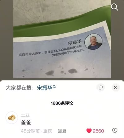 图片为社交媒体截图，展示了一张介绍卡片和评论区内容。卡片中介绍人物宋振华，来自内蒙古多伦，管理近13,000亩现代化农场，已为麦当劳种植土豆21年，卡片旁配有宋振华的个人照片。下方显示“大家都在搜：宋振华”的搜索建议，以及一条热门评论“土豆 爸爸”，该评论来自重庆用户，发布于48分钟前，获得2560个点赞。
