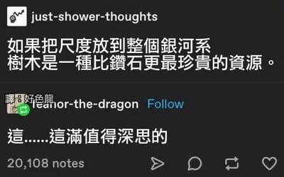 这是一张海外社交平台Tumblr的中文翻译版截图，账号just-shower-thoughts发布了一个跳出地球视角的脑洞观点：“如果把尺度放到整个银河系，树木是一种比钻石更珍贵的资源。”下方用户tearlor-the-dragon评论“这……这满值得深思的”，内容获得20108条互动。该观点从宇宙尺度重新定义资源价值，引发另类思考，无谐音或双关梗。