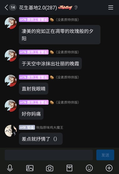这是一张QQ群聊的截图，群名称为“花生基地2.0(287)”。群成员“LV76 群劳工营营长（没素质特供版）”先以极其文艺的笔触描绘夕阳，用“凄美的宛如正在凋零的玫瑰般的夕阳”“于天空中涂抹出壮丽的晚霞”这类充满诗意的语句营造氛围，随后画风突然反转，直白地吐槽夕阳直射眼睛带来的痛感，说出“直射我眼睛”“好你妈痛”这类粗俗直白的话语，形成强烈的反差感。另一位群成员“LV51 铂金 吮指原味鸡大魔王”则回复“差点就抒情了（）”，精准调侃了这种从文艺到暴躁的突变，整个对话充满了生活化的搞笑趣味，展现了群聊中轻松戏谑的互动氛围。