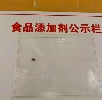 这张图呈现了一处标注“食品添加剂公示栏”的告示板，本该用来张贴食品添加剂相关公示文件的透明袋内，却出现了一只蟑螂。这一荒诞的场景用黑色幽默的方式，讽刺了食品相关场所卫生状况堪忧的问题，仿佛将蟑螂调侃成了“未公示的特殊食品添加剂”，充满了讽刺与搞笑的意味。