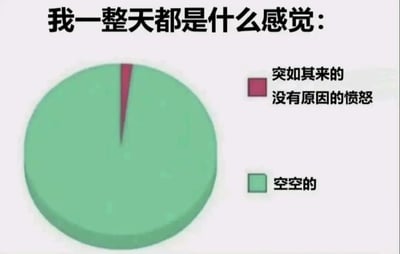 一张用饼图幽默展示日常情绪的梗图。标题为“我一整天都是什么感觉：”，饼图中占绝大多数的绿色区域标注为“空空的”，仅有的一小片红色区域标注为“突如其来的没有原因的愤怒”，夸张地表现了大部分时间的空虚感和偶尔莫名的怒火。