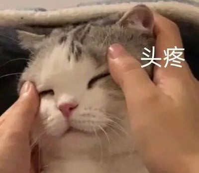 这是一张静态的文字加注表情素材图，画面主体是一只灰白配色的猫咪，它双眼半眯，神态疲惫难受，仿佛正被头疼困扰。两只人类的手正按压在猫咪的太阳穴位置，模拟人头疼时缓解不适的动作。图片右侧配有白色文字“头疼”，精准点出猫咪的状态，也让这张图可以被用来表达人类头疼、烦躁、疲惫的负面情绪，常被用于社交媒体聊天中传递相关感受。