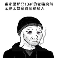 Wojak（Doomer光头变体）