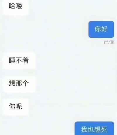 这是一张即时通讯软件的聊天记录截图，左侧发送白色气泡消息的用户先打招呼「哈喽」，右侧发送蓝色气泡消息的用户回复「你好」，消息下方显示「已读」标识；随后左侧用户连续发送三条消息：「睡不着」、「想那个」、「你呢」，此处的「那个」本是指代某件未明确说明的事，但右侧用户产生了误解，将其理解为「想死」，直接回复「我也想死」，对话形成了意料之外的反差笑点，整体带有戏谑搞笑的效果。