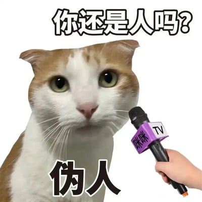 这是一张经过P图改编的搞笑静态表情包，画面主体是一只黄白相间的猫咪，一只手拿着印有“咪咪TV”标识的话筒对着它，模拟采访场景。图片上方配文“你还是人吗？”，猫咪下方配文“伪人”，通过拟人化的方式，让猫咪以吐槽的口吻回应，诙谐幽默地表达对他人的不满与调侃，适合在日常社交聊天中用来打趣对方，风格轻松有趣。