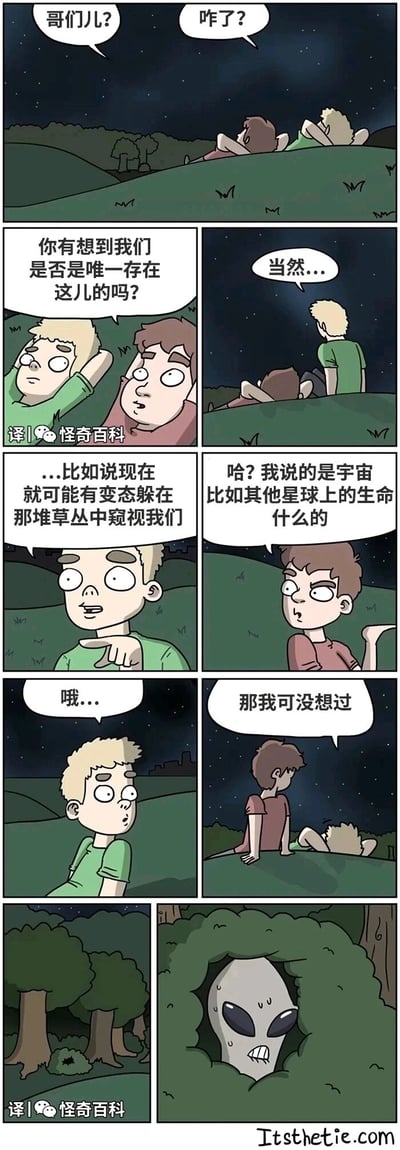 这是一组竖版连环卡通漫画，场景设定在深夜的户外草地上。棕衣男孩和绿衣男孩躺着看星空时开启对话，棕衣男孩询问绿衣男孩是否思考过宇宙中是否存在其他星球的生命，绿衣男孩却误解成担心身边草丛里有变态偷窥自己，当棕衣男孩解释清楚问题的真正指向后，绿衣男孩表示自己从未想过宇宙生命的话题。而漫画的最后一幕揭晓了真相：草丛里确实有一个紧张冒汗的外星人正在窥视他们，用荒诞的反转制造出搞笑的喜剧效果。