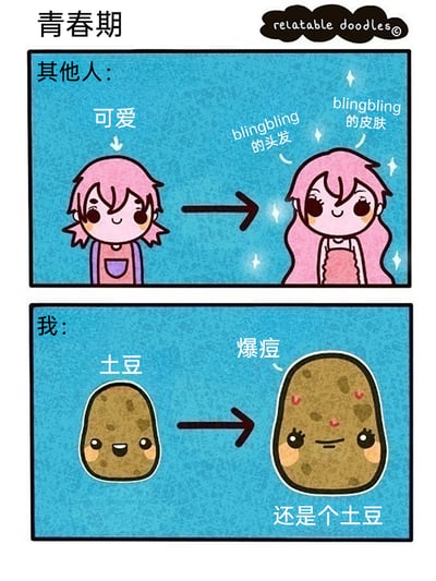 这是一幅上下分栏的卡通对比漫画，主题围绕青春期的变化展开。上半部分展示其他人的青春期：原本可爱的卡通女孩，成长为拥有blingbling的柔顺长发和光泽皮肤的美少女，形象充满闪光点；下半部分则是“我”的自嘲式写照：从一个拟人化的土豆，变成了满脸爆痘的土豆，本质模样没有改变。通过强烈的反差，幽默又扎心地吐槽了自己青春期没有变美，只有爆痘的尴尬经历，能够引发有类似青春期体验的人的共鸣。