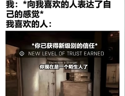 该梗图通过上下图文结合的形式，上方文字描述“我向喜欢的人表达了自己的感觉”，下方配图为带有游戏通知样式的截图，通知标题写着“你已获得新级别的信任 NEW LEVEL OF TRUST EARNED”，但实际内容却是“You're now a Stranger 你现在是一个陌生人了”。通过这种反差幽默，调侃了表白后不仅没有得到积极回应，反而关系倒退成陌生人的尴尬场景，充满自嘲和无奈的搞笑意味。