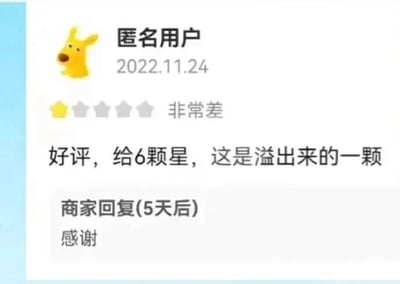 这是一张来自电商或本地生活服务平台的用户评价截图，匿名用户在2022年11月24日发布评价：系统显示其打了1颗星并标注“非常差”，但用户的文字内容却是“好评，给6颗星，这是溢出来的一颗”，用反差感十足的幽默方式表达对商家的高度认可，把1颗星的差评标识调侃成是满分之上额外溢出来的一颗星。5天后商家回复了“感谢”，看起来并未理解用户的趣味玩笑，只是常规回应好评，让整个评价内容更添趣味。