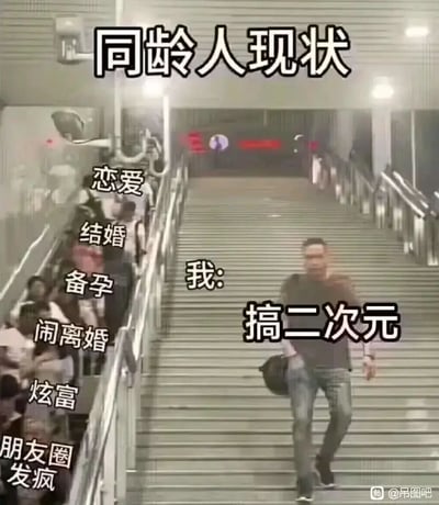 这是一张网络趣味梗图，以地铁站的扶梯与楼梯为场景，顶部标注醒目的“同龄人现状”标题，构建出自己与同龄人的生活状态对比。画面左侧扶梯上的人群对应着多数同龄人的人生轨迹，从上到下依次标注了恋爱、结婚、备孕、闹离婚、炫富、朋友圈发疯这些不同阶段的生活状态；而画面右侧的楼梯上，有一名男子逆着楼梯行进方向向下走，他被标注为“我”，对应的状态是“搞二次元”。通过这种反向行走的视觉对比，幽默地凸显出自己与主流同龄人生活节奏完全脱节，沉浸在二次元世界的独特生活选择，精准戳中同好群体的共鸣点，用戏谑的方式调侃自身的爱好与大众生活的差异。