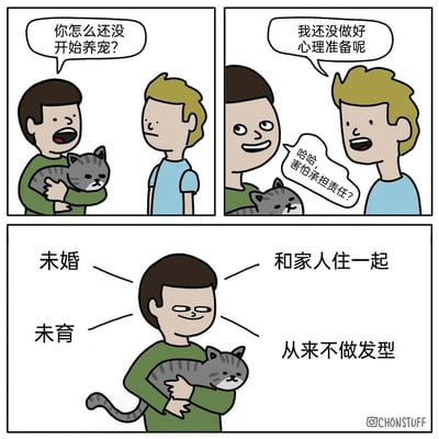 这是一幅三格连环卡通漫画，采用讽刺幽默的手法展开内容。第一格中，抱着灰色猫咪的绿衣服男子向蓝衣服男子发问，询问对方为何还不开始养宠物；第二格中，蓝衣服男子表示自己还没做好心理准备，绿衣服男子则调侃对方是害怕承担责任；第三格则进行反转讽刺，列出绿衣服男子的个人状态：未婚、未育、和家人住在一起、从来不做发型，以此点出该男子自身也没有承担起成年人的诸多责任，却反过来嘲笑他人，形成强烈的反差讽刺效果，戳中部分人“严于律人宽于律己”的行为，引发读者对责任话题的共鸣。
