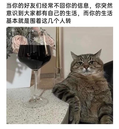 图片上方配有文字描述：'当你的好友们经常不回你的信息，你突然意识到大家都有自己的生活，而你的生活基本就是围着这几个人转'。下方是一只虎斑猫趴在桌边，前爪搭在台面上，眼神略带忧郁地望向一侧，旁边放着一杯红酒和插有粉色玫瑰的花瓶，整体营造出一种孤独又带点自嘲的氛围。