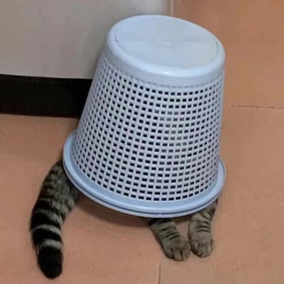 一只虎斑猫钻进了白色塑料洗衣篮，身体完全藏在篮子里，只从侧面露出一条带有黑色条纹的尾巴和两只前爪。洗衣篮呈锥形，带有网格状镂空设计，顶部有圆形盖子。背景是室内环境，可见米色瓷砖地板和白色墙壁的角落。猫咪的躲藏方式显得既可爱又滑稽，营造出轻松有趣的氛围。