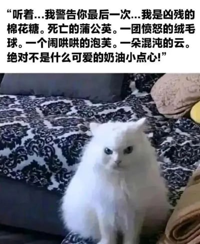 图片中是一只毛茸茸的白色猫咪，正坐在铺有黑白花纹毯子的沙发上，表情严肃地直视镜头。图片上方配有一段幽默文字，猫咪'警告'道：'听着...我警告你最后一次...我是凶残的棉花糖。死亡的蒲公英。一团愤怒的绒毛球。一个闹哄哄的泡芙。一朵混沌的云。绝对不是什么可爱的奶油小点心！'。猫咪本身蓬松可爱的外形与文字中强调的'凶残'、'愤怒'形成强烈反差萌，营造出搞笑有趣的效果。