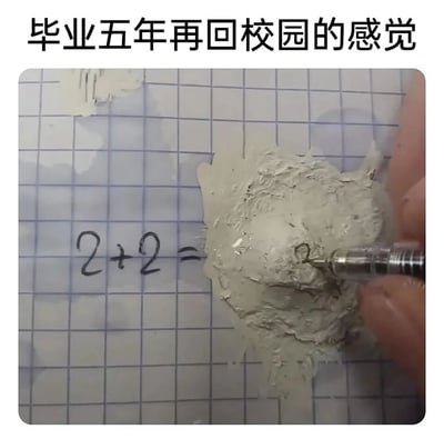 这是一张搞笑共鸣类梗图，上方配有文字“毕业五年再回校园的感觉”，图中展示了在方格纸上书写基础数学题“2+2=”的场景，但等号后方的区域被反复涂改、摩擦，已经破损成了类似泥状的粗糙区域，一只手握着自动铅笔还在试图在破损处书写答案。这幅图用夸张荒诞的画面，调侃了毕业离开校园五年后，人们长期脱离基础知识学习，大脑“生锈”，连最简单的数学题都要反复斟酌、难以确定答案的状态，精准戳中毕业多年的职场人的共鸣，表现出知识退化的无奈与搞笑。