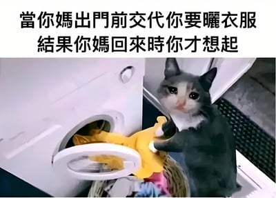 这张梗图上方有文字“當你媽出門前交代你要曬衣服 結果你媽回來時你才想起”，下方是一只猫站在洗衣机前，正慌张地从洗衣机中拿出黄色衣服放进洗衣篮的场景。图片通过猫慌张赶工的样子，幽默地表现了人们忘记家长交代的任务，直到最后一刻才急忙补救的情景。