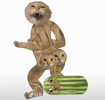 图片中是一个荒诞搞笑的合成形象：主体是一个类人生物，头部是一只张着大嘴露出尖牙、表情凶狠的橘猫脑袋，身体覆盖着橘猫的毛发纹理，双臂弯曲做出类似攻击或夸张的动作。其躯干部分还拼接了两个表情无辜的橘猫脑袋，眼睛圆睁直视前方。下方有一个拟人化的西瓜，西瓜表面有绿色条纹，顶部被画上了一张人脸，眼睛圆睁，嘴巴张开，黄色的液体正从西瓜口中滴落，滴向猫人身体的下方。整个画面背景为纯白色，突出主体的荒诞组合，充满无厘头的喜剧效果。